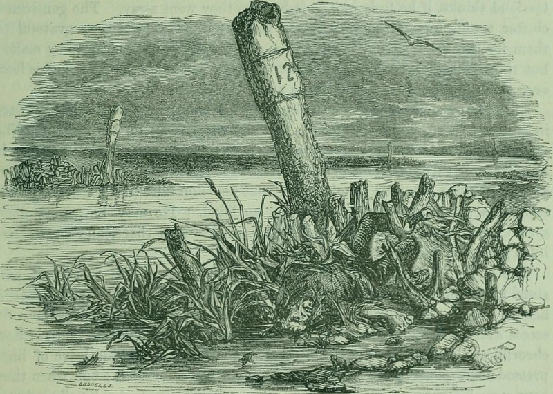 Old illustration of a debris-littered seashore